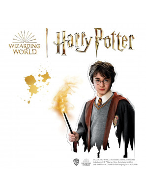 Bracelets à charms - Harry Potter - SES CREATIVE - 09343